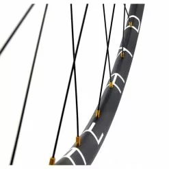 Dt-swiss Laufradsatz DT Swiss Disc - The Hydra -Rennrad handeln laufradsatz dt swiss disc the hydra4