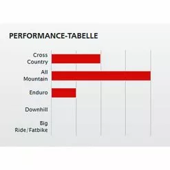Laufradsatz Newmen DT Swiss XM 421 12 Laufradsatz Newmen DT Swiss XM 421 -Rennrad handeln laufradsatz newmen dt swiss xm 4215
