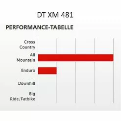 Laufradsatz Newmen DT Swiss XM 481 -Rennrad handeln laufradsatz newmen dt swiss xm 4816