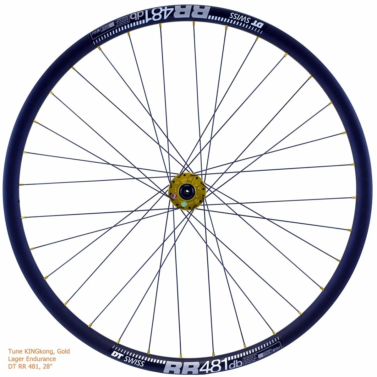 Laufradsatz Tune DT RR481DB, Ab Ca. 1.600 Gramm 4 Laufradsatz Tune DT RR481DB, Ab Ca. 1.600 Gramm – Bild 2