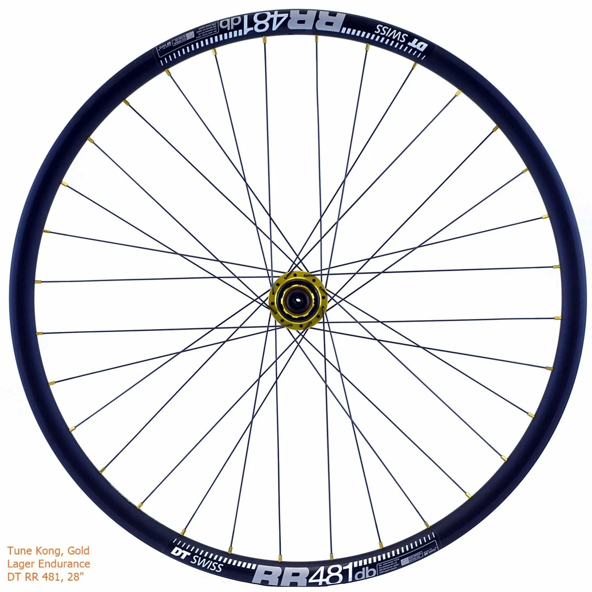 Laufradsatz Tune DT RR481DB, Ab Ca. 1.600 Gramm 7 Laufradsatz Tune DT RR481DB, Ab Ca. 1.600 Gramm – Bild 5